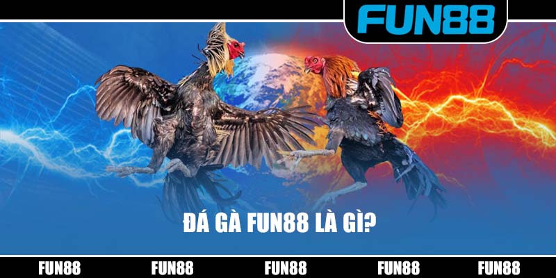 Đá gà Fun88 là gì?