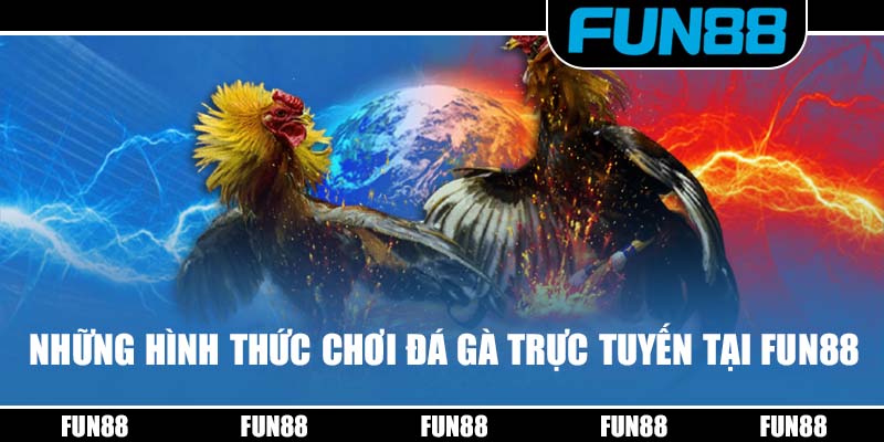 Những hình thức chơi đá gà trực tuyến tại Fun88