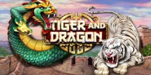 Rồng Hổ Fun88 - Trải Nghiệm Đỉnh Cao Casino Trực Tuyến