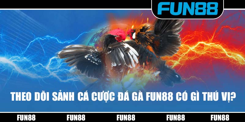 Theo dõi sảnh cá cược đá gà Fun88 có gì thú vị?