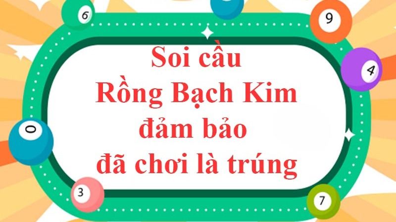 Khám phá Rồng Bạch Kim huyền bí